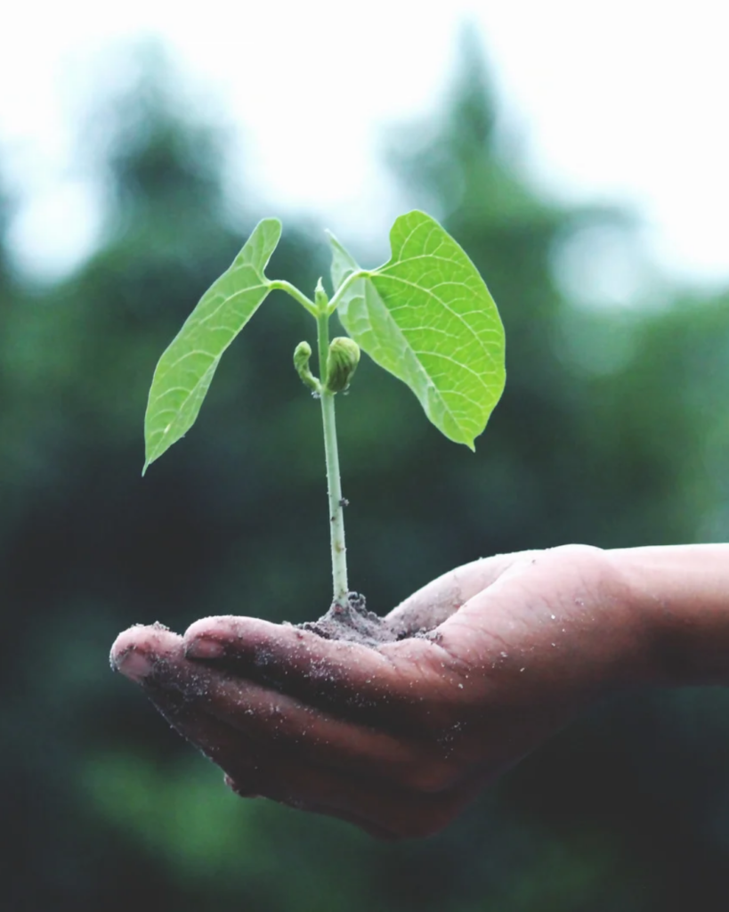 Personal Growth